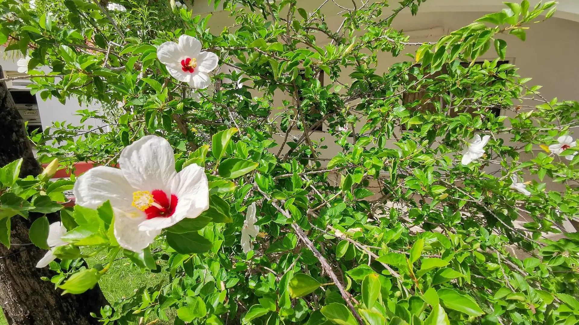 מלון פונטה קאנה Tropical Villas Playa Los Corales